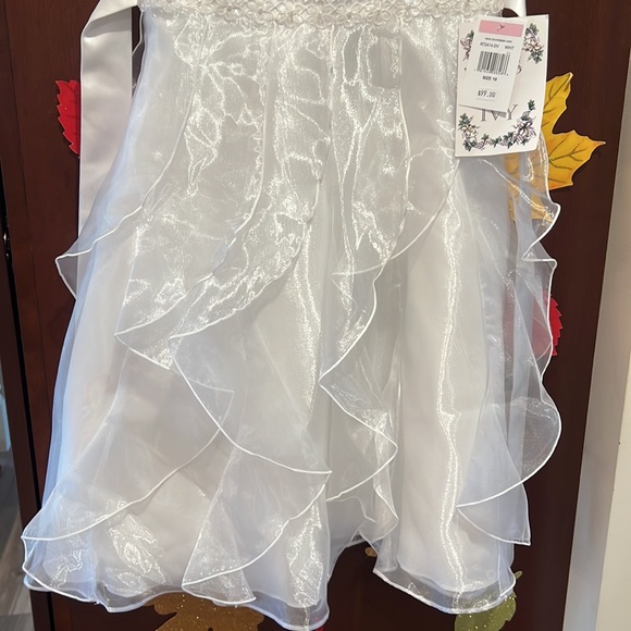 NWT Communion or Flower-Girl dress. Size 10. - Picture 3 of 10